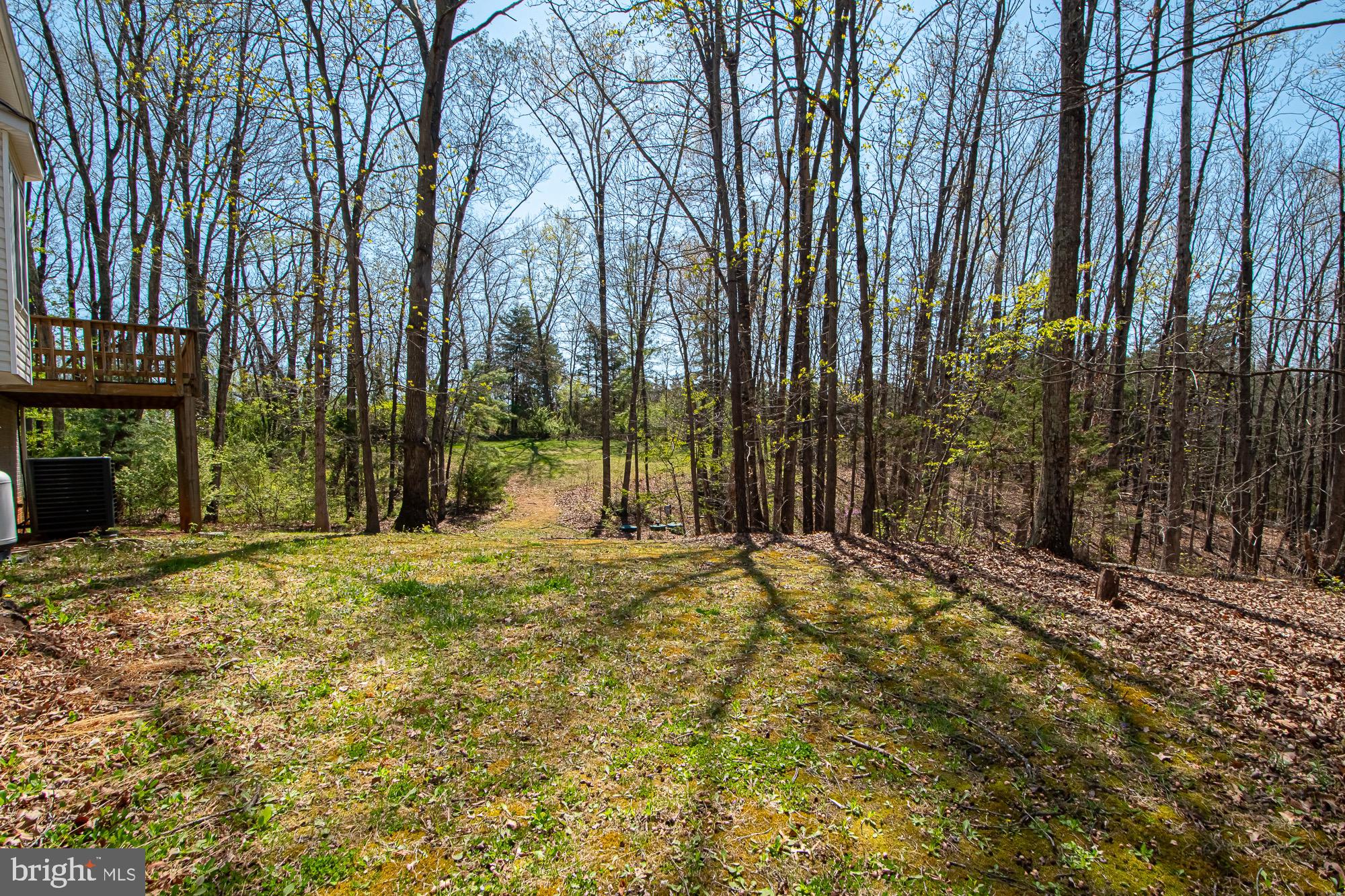 646 Guard Hill Road Middletown, VA 22645 - Photo 8 of 56 Backyard