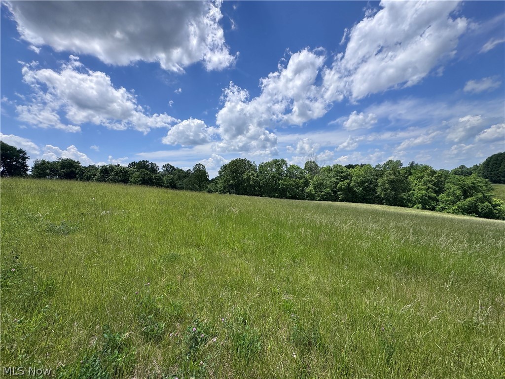 Johnson Ridge Road, Unit 4 6 Stockport, OH 43787 - Photo 15 of 16