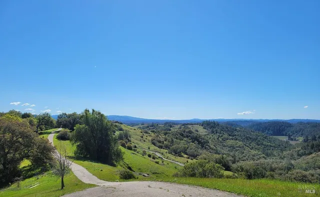 a view of a city with lush green forest