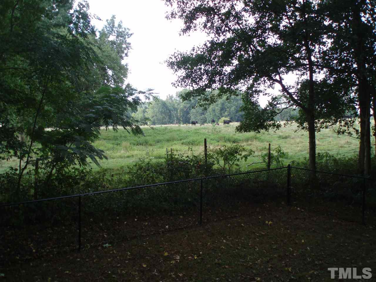 1205 Jogging Court Raleigh, NC 27603 - Photo 22 of 25 Private with views of the country side