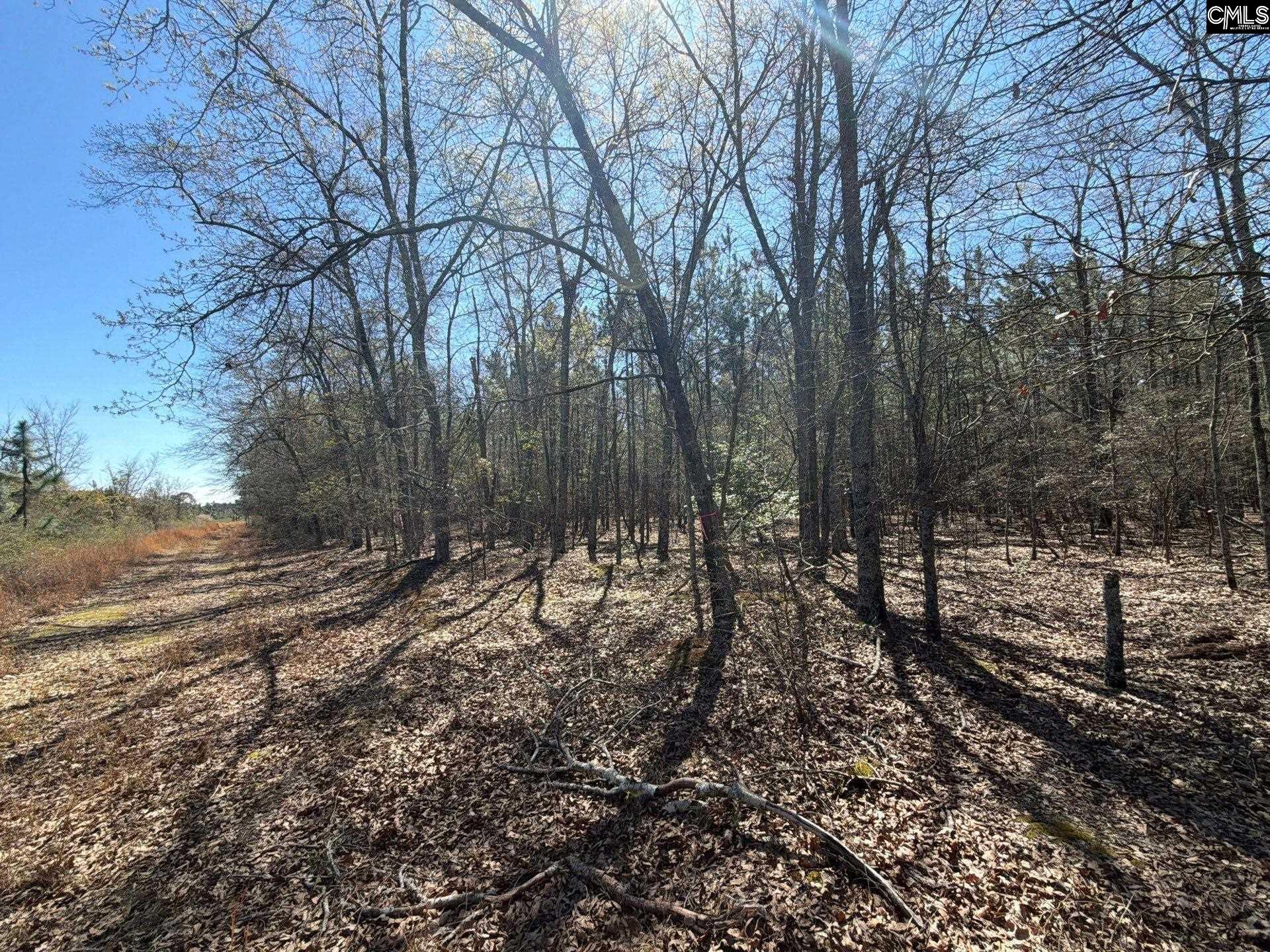 12 Boise Cascade Road, Unit BHL 12 Bethune, SC 29009 - Photo 1 of 20