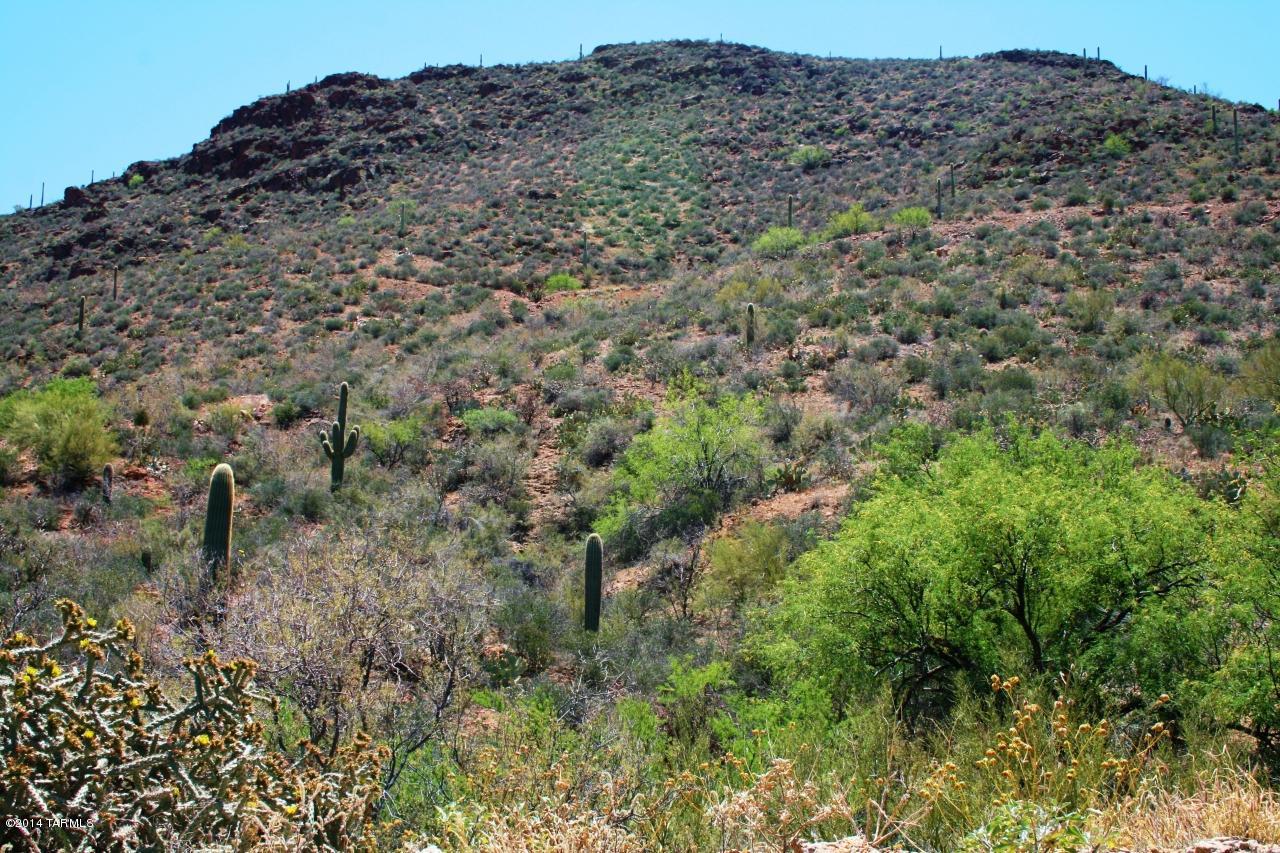 6241 West Trails End Road, Unit 17 Tucson, AZ 85745 - Photo 10 of 24