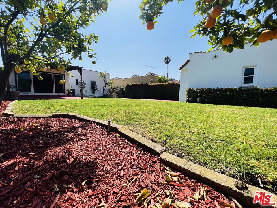 6187 Barrows Drive Los Angeles, CA 90048 - Photo 31 of 35 a view of a back yard