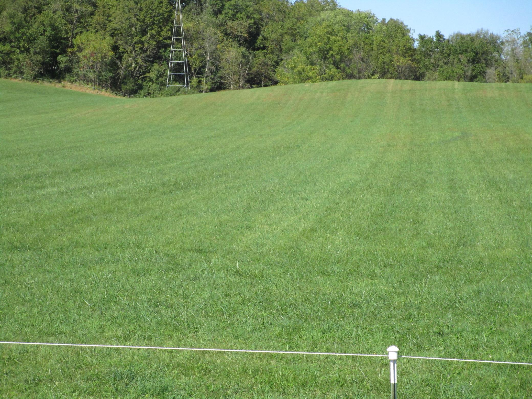 Tbd 8th Street Southwest Pine Island, MN 55963 - Photo 2 of 3