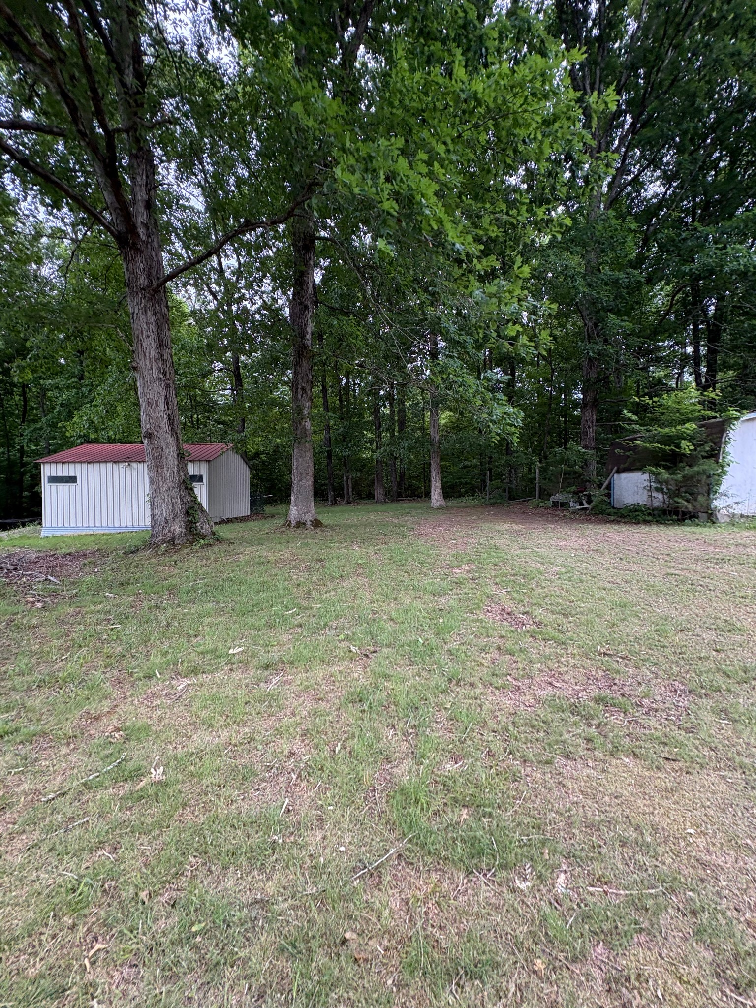 2174 Pleasant Hill Road Lynchburg, TN 37352 - Photo 15 of 16 a view of a yard with a tree