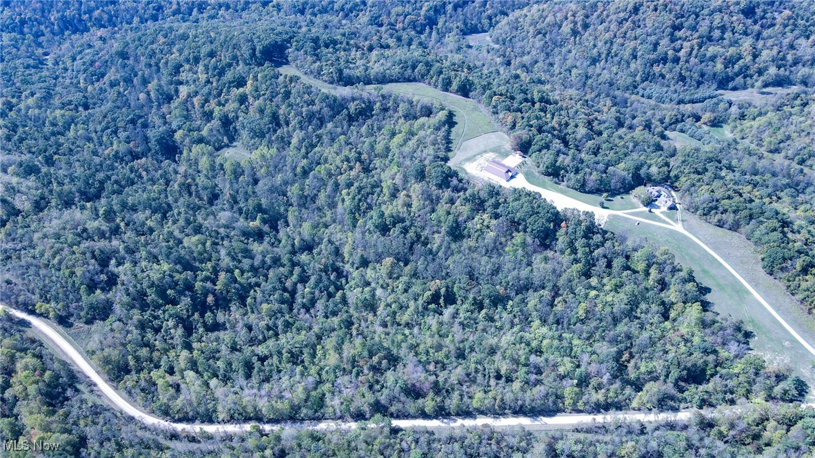 Lot 3 Moss Run Road Marietta, OH 45750 - Photo 13 of 14 Bird's eye view of a forest