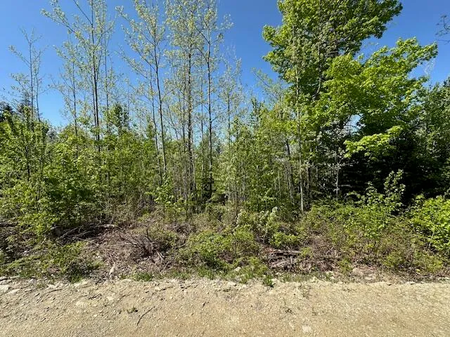 $130,000 | Lot 5 Mt Jefferson Heights, Lee, ME 04455