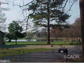 465 Woodside Road Millsboro, DE 19966 - Photo 6 of 9 Gallery Image 6