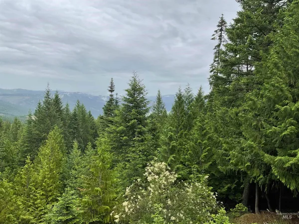 $789,000 | 6125 Freeman Creek Road, Lenore, ID 83541