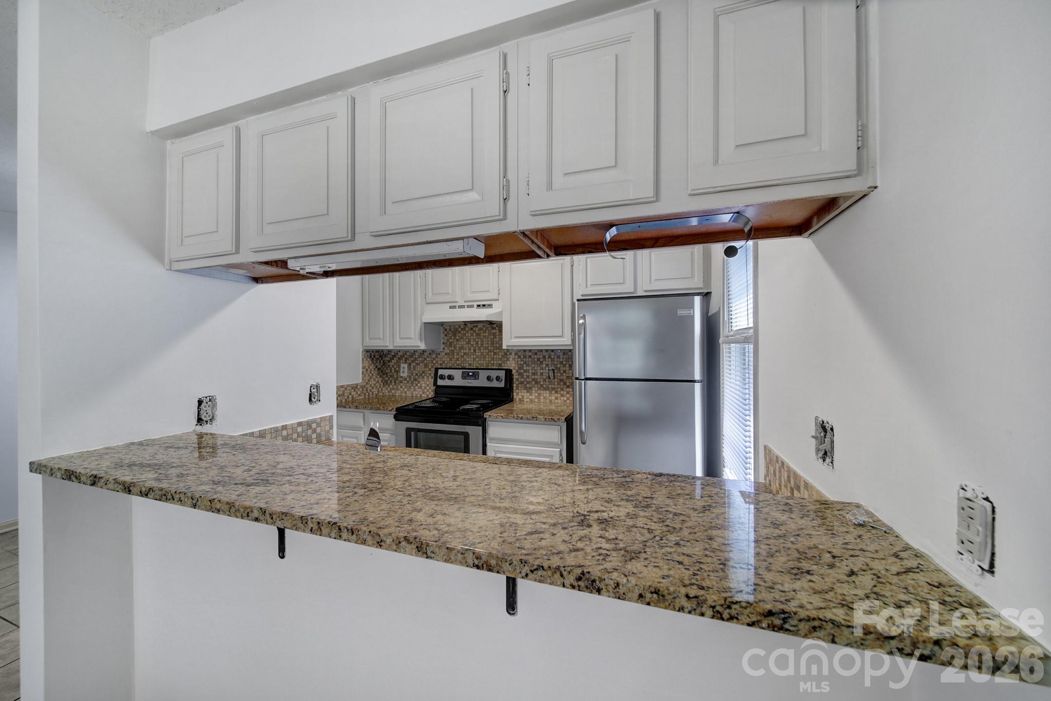 308 Queens Road, Unit 31 Charlotte, NC 28204 - Photo 5 of 24