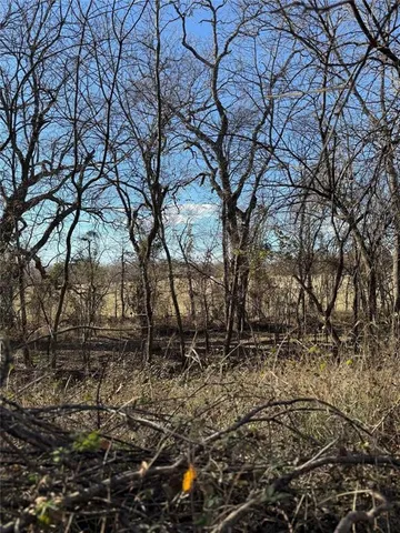 a backyard of a house with lots of trees