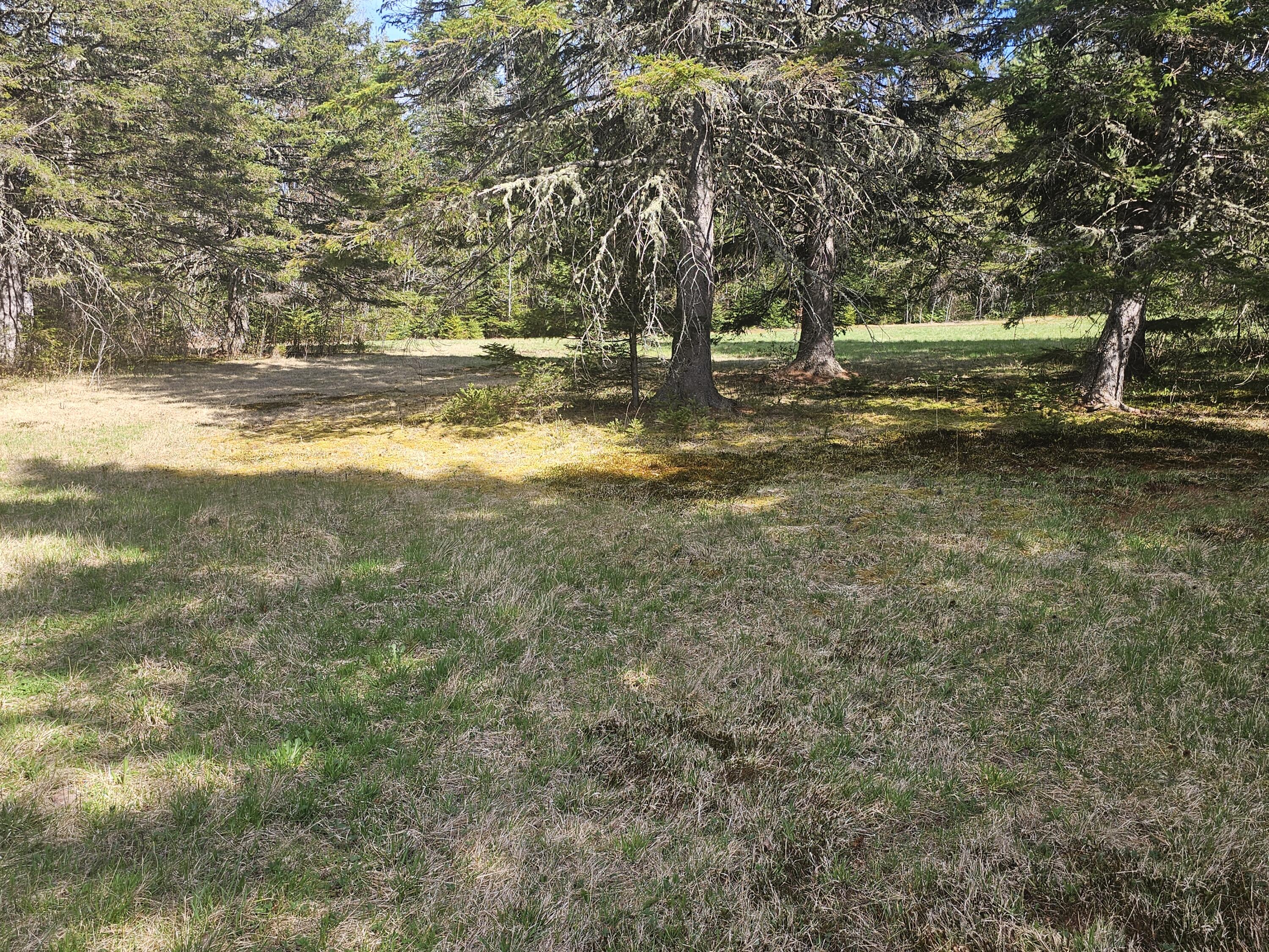 631 Crystal Road Crystal, ME 04747 - Photo 27 of 32 20260516_151521