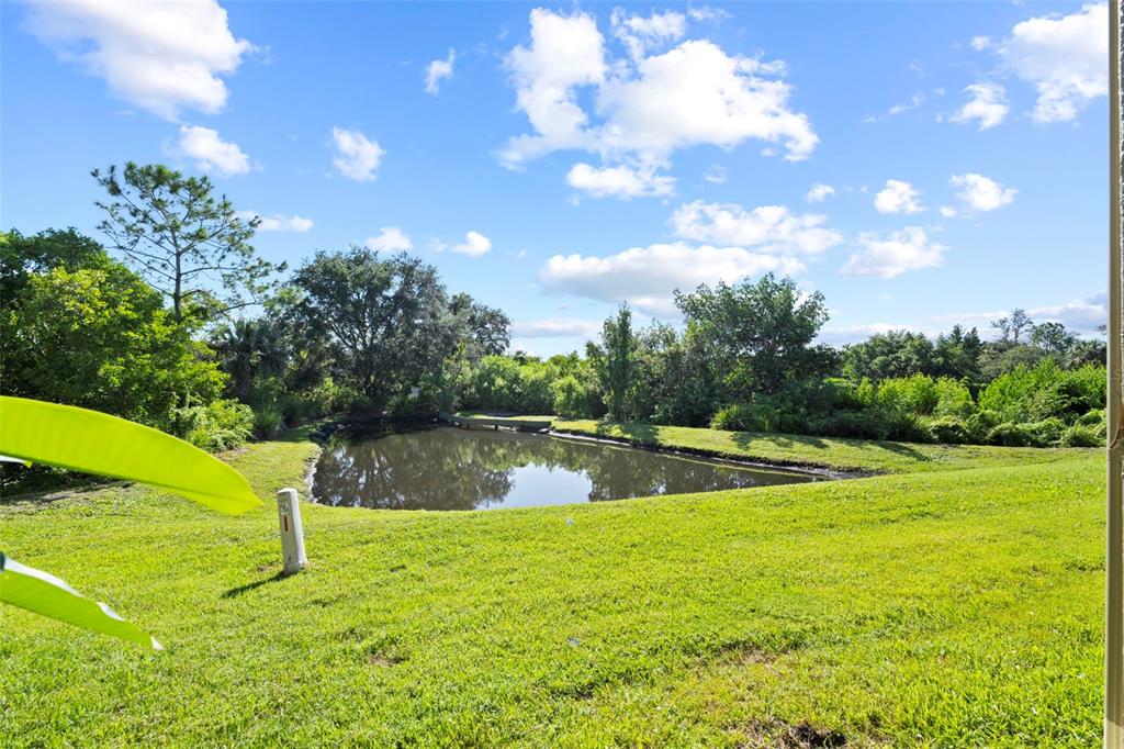 7677 Caponata Boulevard Seminole, FL 33777 - Photo 40 of 46 Gallery Image 40