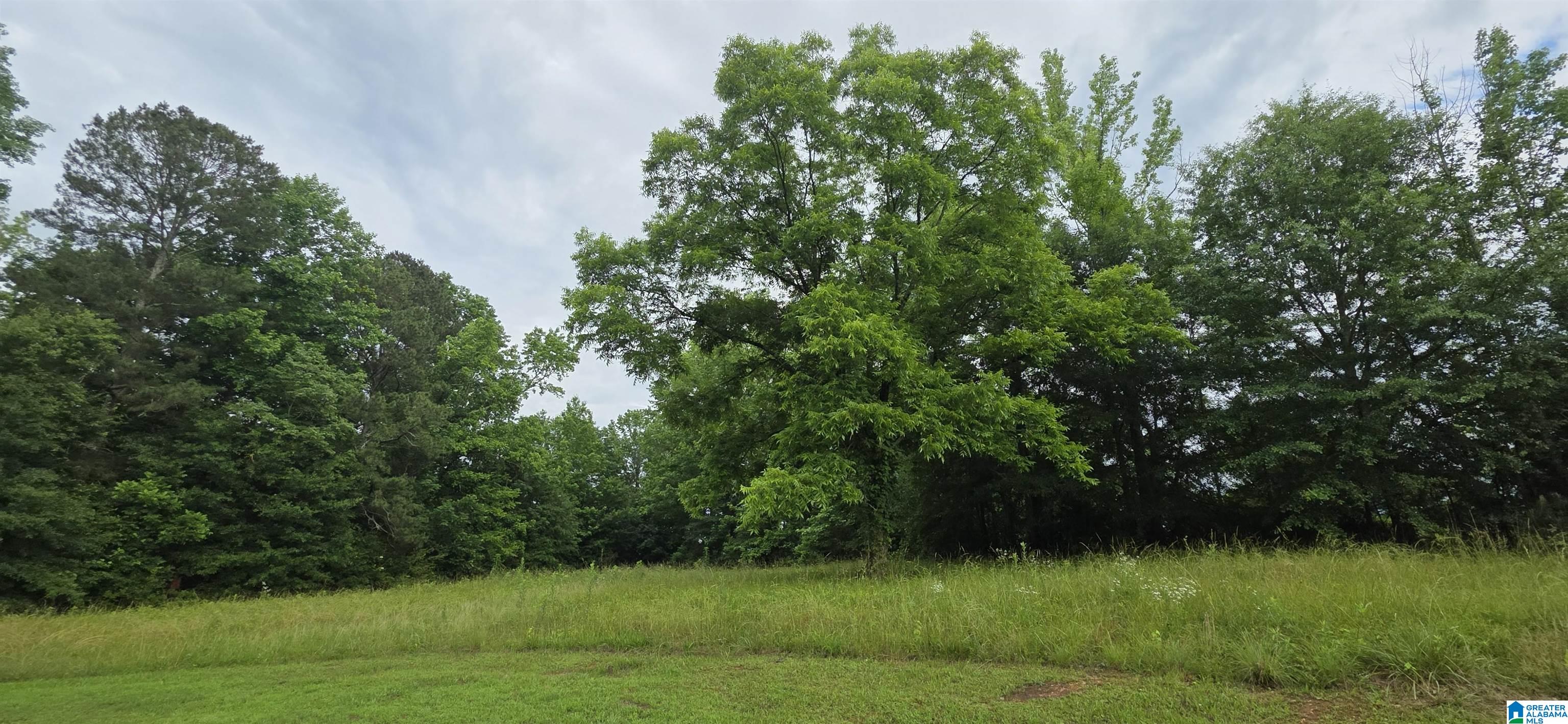 18341 Highway 46 Ranburne, AL 36273 - Photo 17 of 47