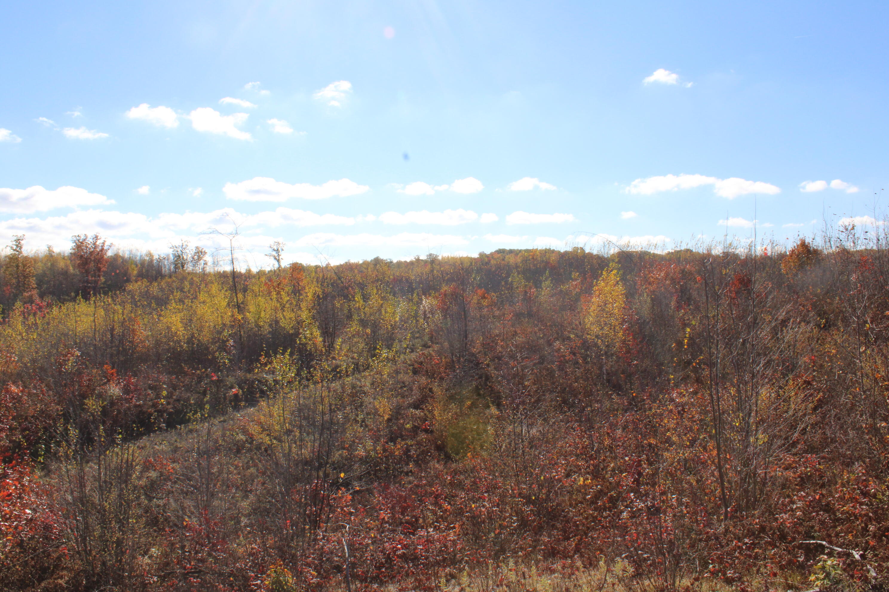 -vl Vl Railroad Grade Road Harrison, MI 48625 - Photo 20 of 23 IMG_5324