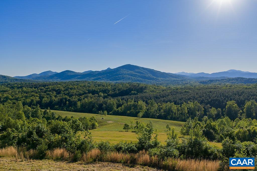 695 Laurel Road Schuyler, VA 22969 - Photo 5 of 57