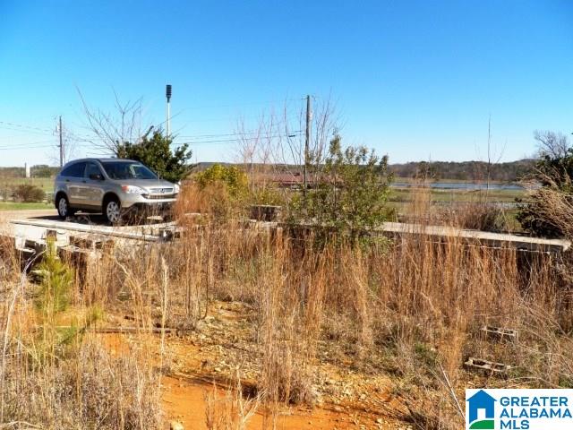 53 Eagle Cove Road, Unit 2 Ohatchee, AL 36271 - Photo 18 of 19