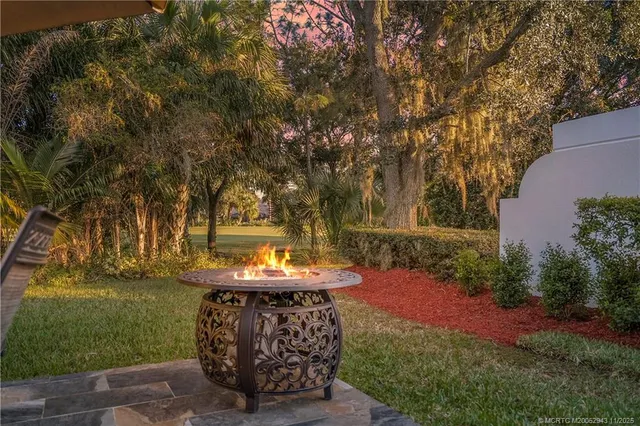a view of a backyard with plants and trees