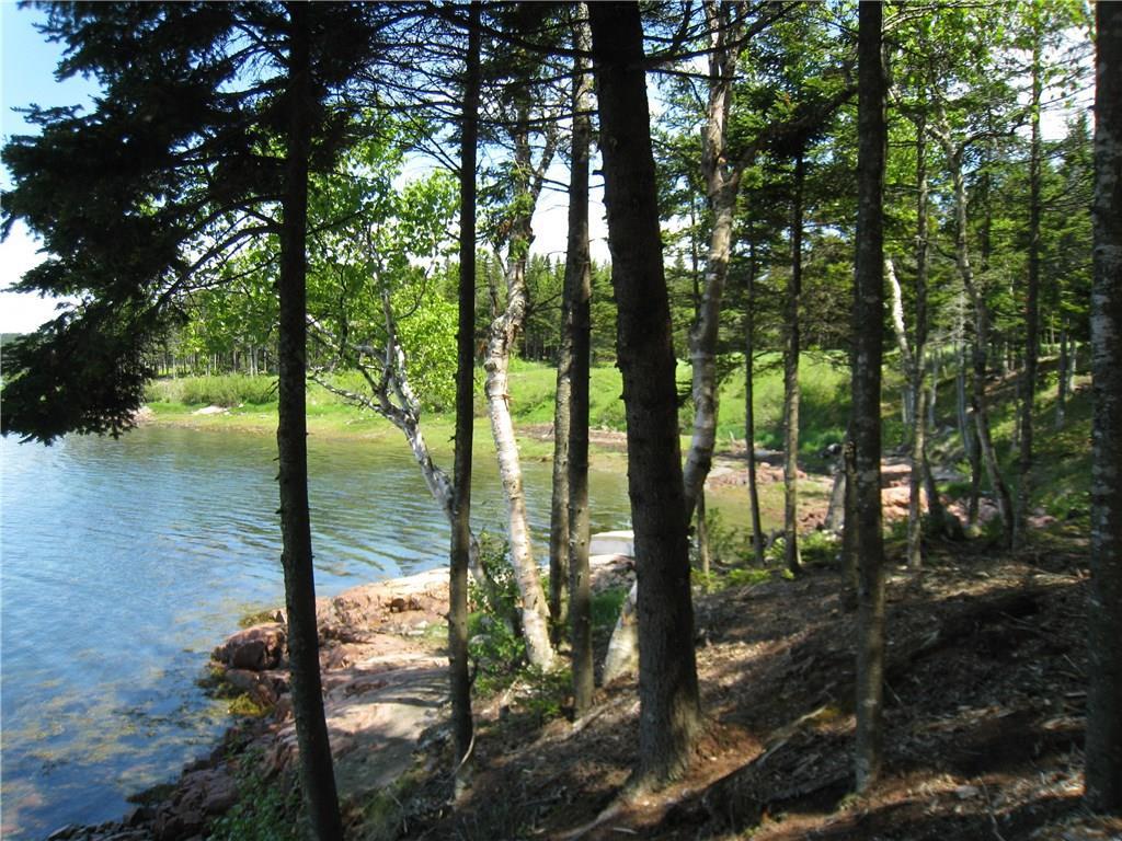 5 Collins Cove Road Machiasport, ME 04655 - Photo 5 of 11 Photo
