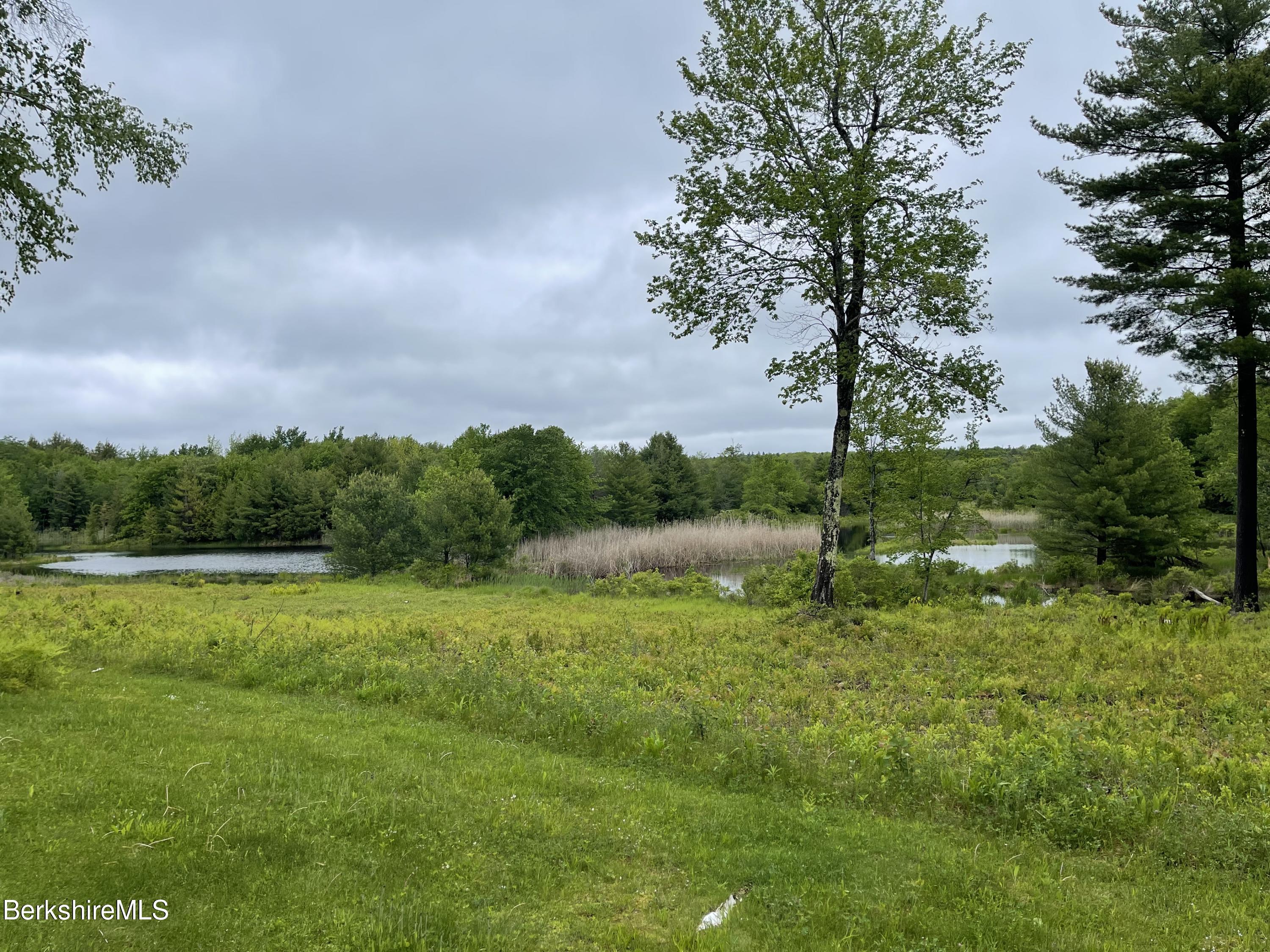 698 Algerie Road Otis, MA 01008 - Photo 2 of 2 Backyard