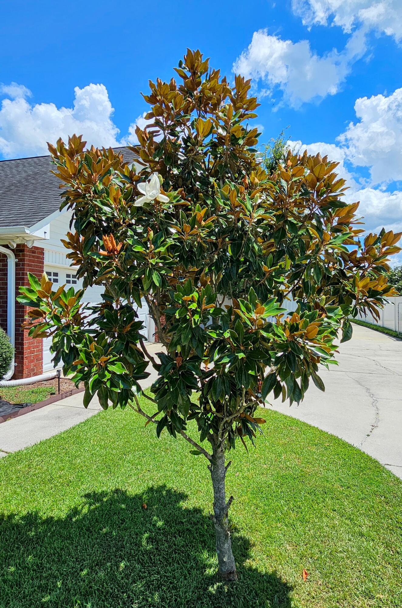 3345 Ashlynn Way Sumter, SC 29154 - Photo 40 of 47 Gallery Image 40
