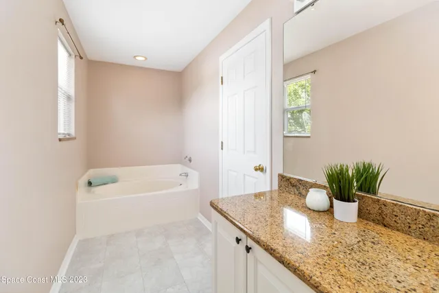 a bathroom with a granite countertop sink a mirror a potted plant and a bathtub