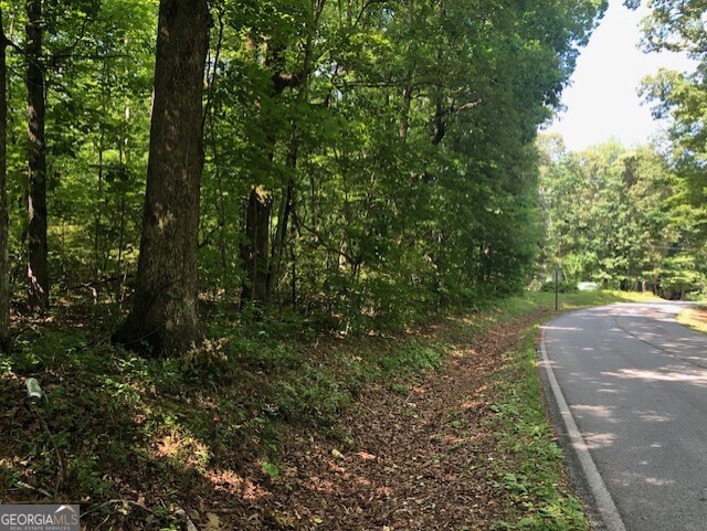 Lot 8 Daniel Road Demorest, GA 30535 - Photo 1 of 1 a view of a yard with plants and large trees