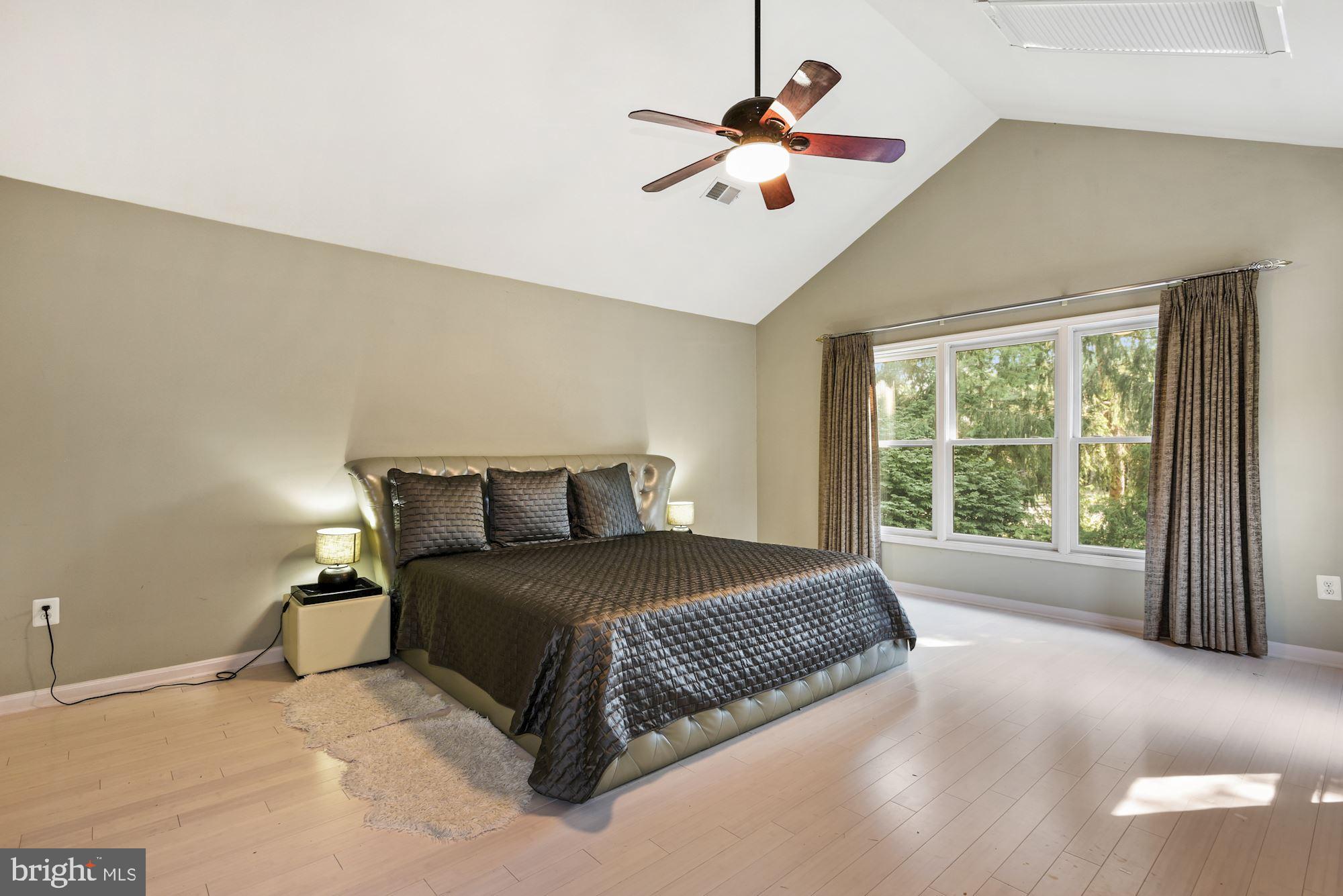2005 Beacon Place Reston, VA 20191 - Photo 31 of 46 Primary Bedroom, cathedral ceiling with skylights