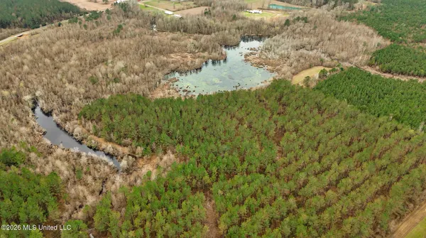 $750,000 | 8 County Road, Laurel, MS 39443