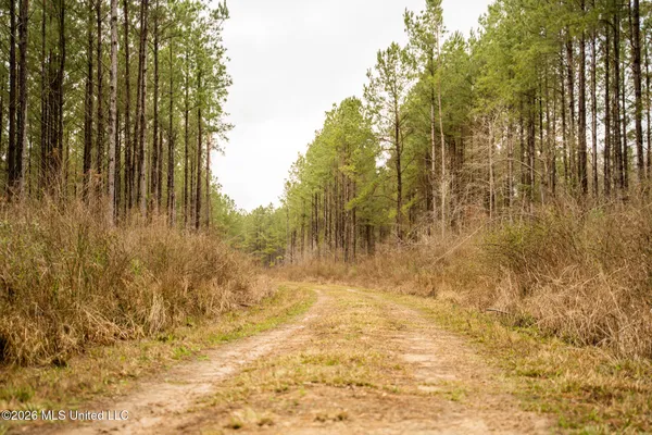 $750,000 | 8 County Road, Laurel, MS 39443