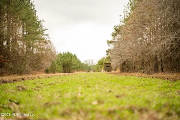 $750,000 | 8 County Road, Laurel, MS 39443