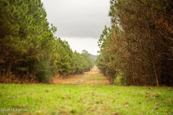 $750,000 | 8 County Road, Laurel, MS 39443