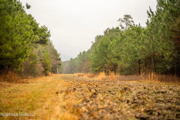 $750,000 | 8 County Road, Laurel, MS 39443