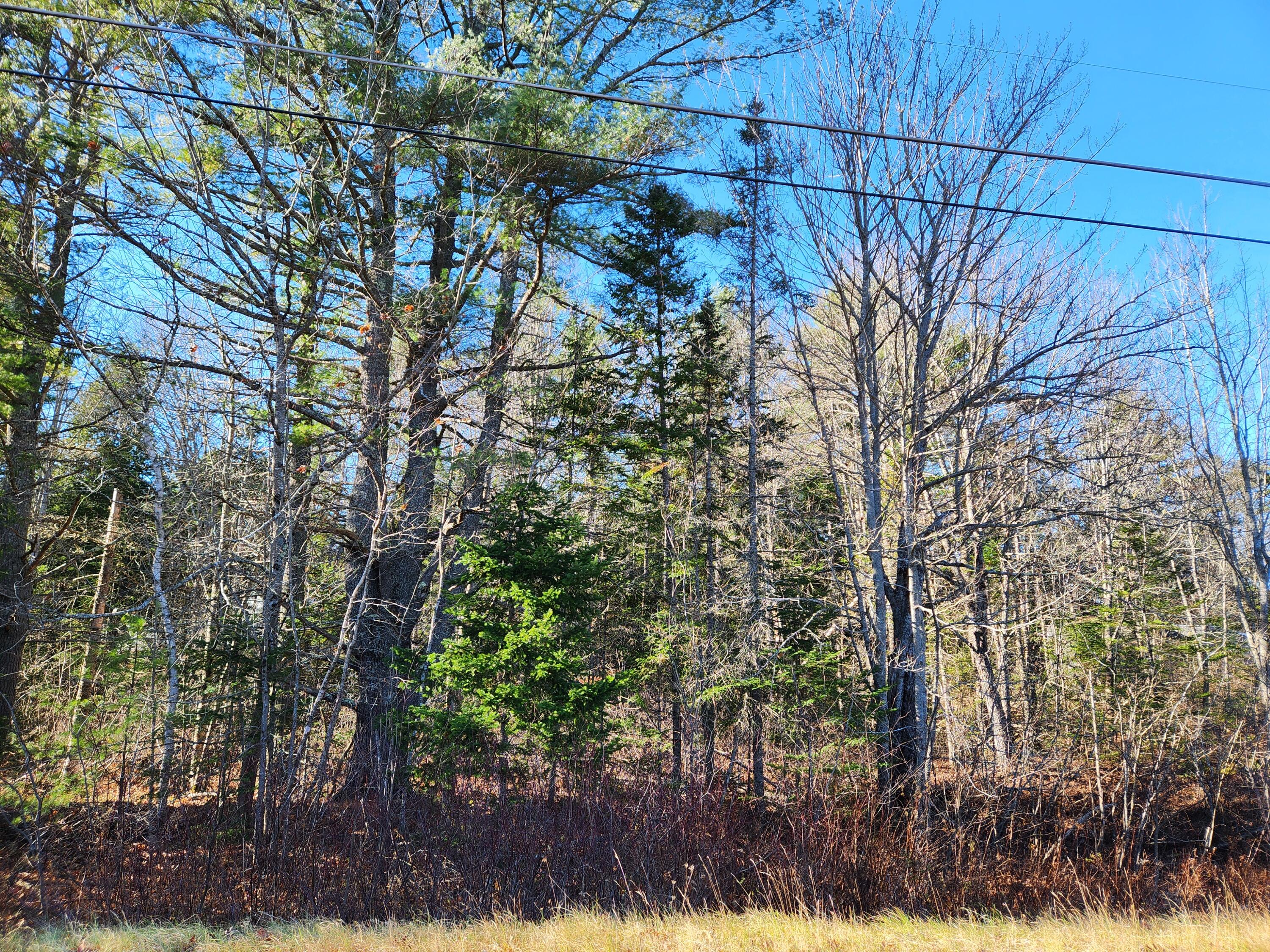 0 Hilton Road Whitefield, ME 04353 - Photo 1 of 1 SimmonsLand