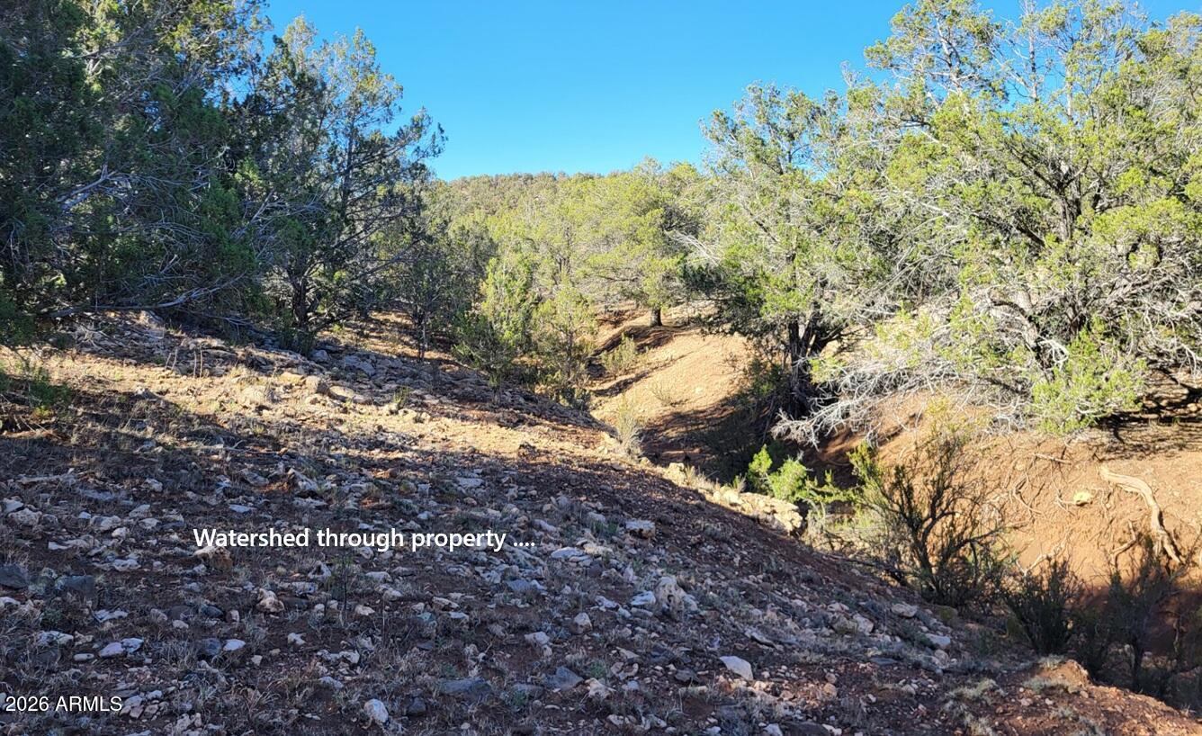 918 Wolf Road, Unit 918 Williams, AZ 86046 - Photo 5 of 18 a2ee731f-f393-4d26-8aa5-f33ae59d7e40