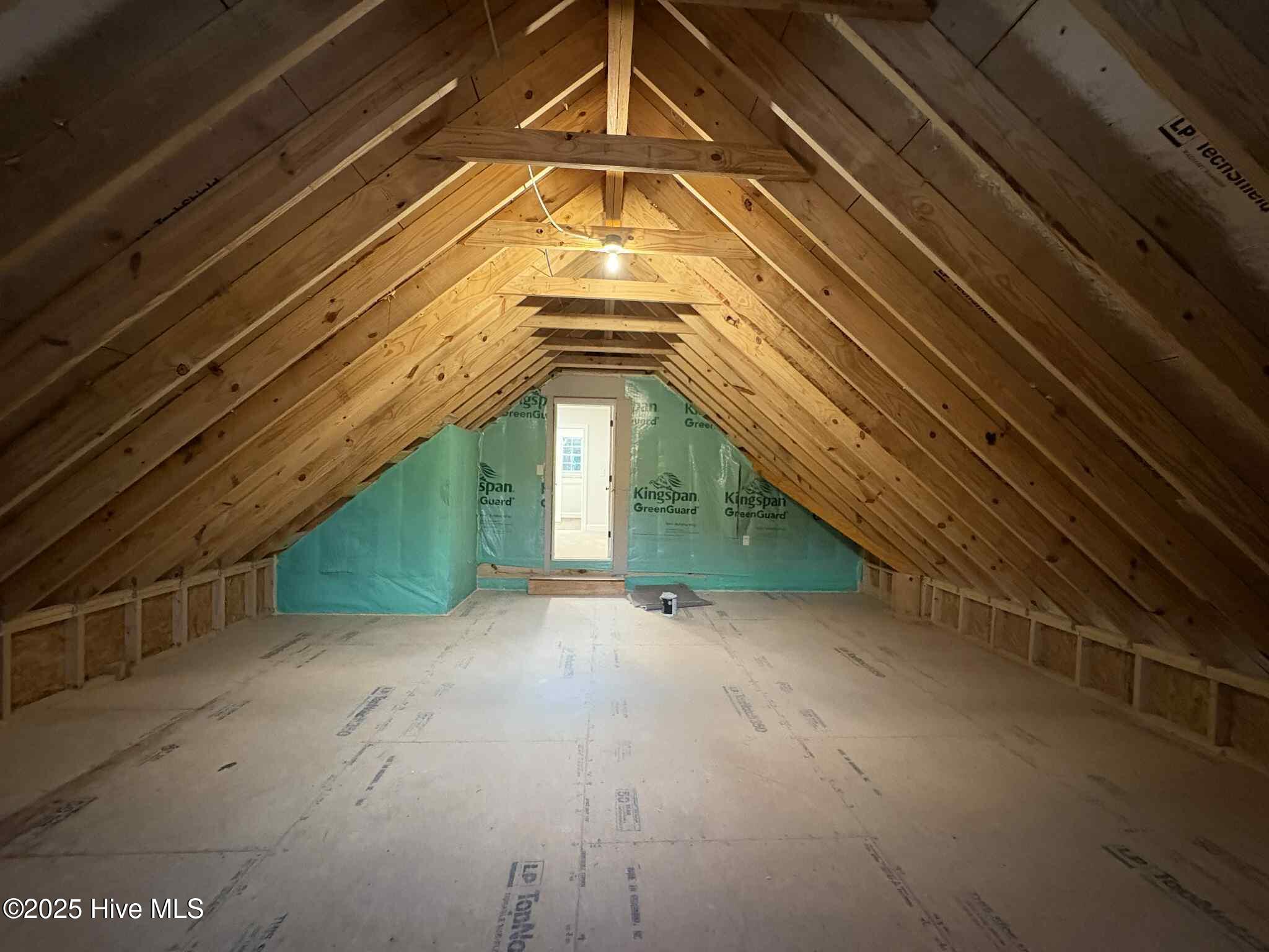 835 Emmett Ct Spring Spring Hope, NC 27882 - Photo 92 of 97 Attic (2)