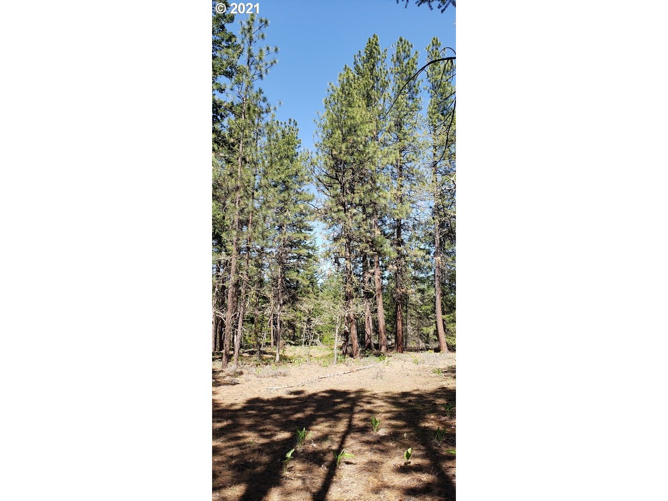 Austin Road, Unit 2 Goldendale, WA 98620 - Photo 14 of 16 Gallery Image 14