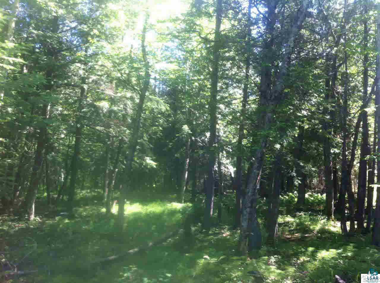 0 Cameron Road Saxon, WI 54559 - Photo 1 of 7