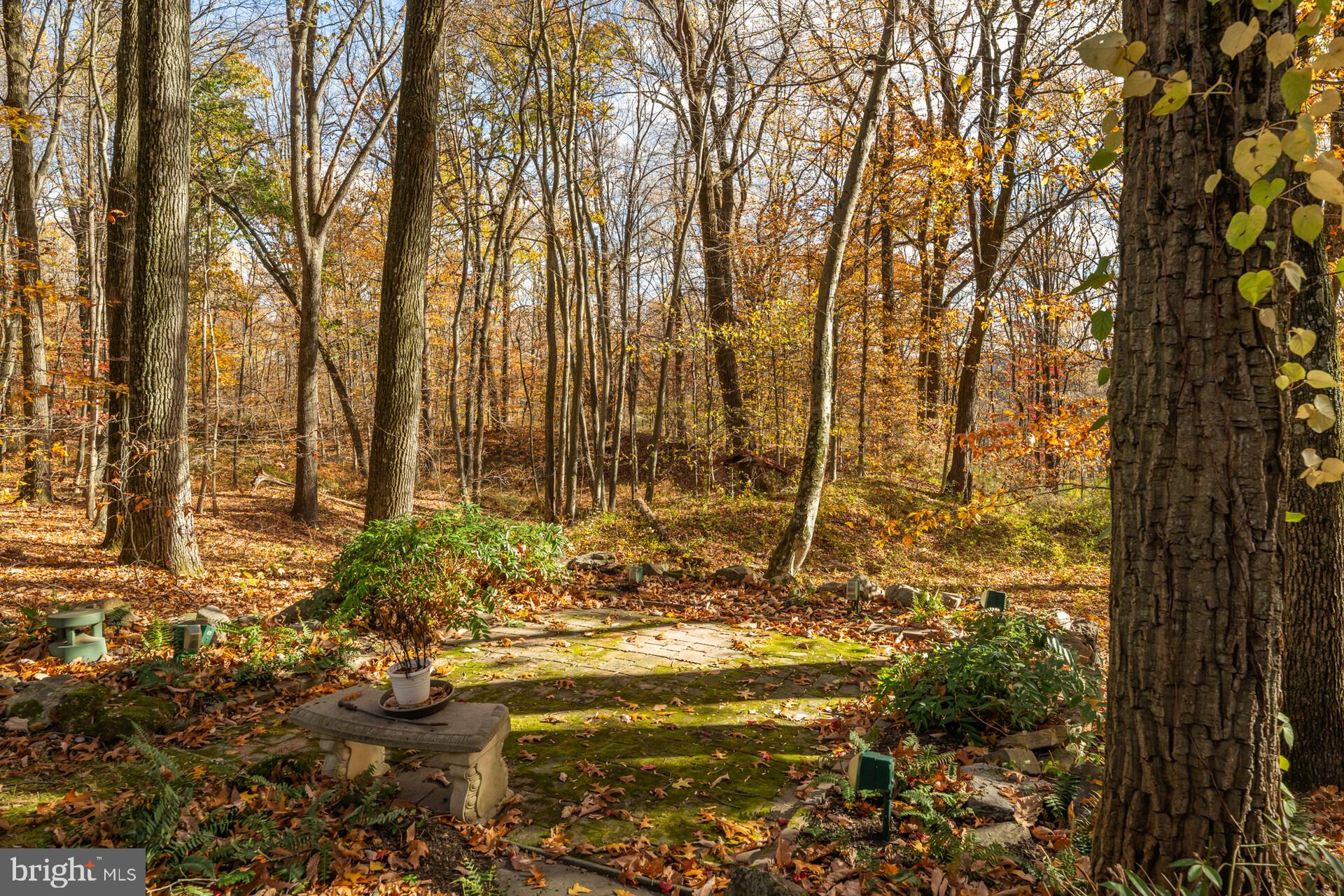 6950 Upper York Road New Hope, PA 18938 - Photo 47 of 60 Picturesque...