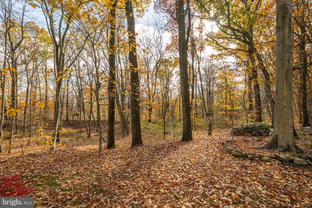 $1,125,000 | 6950 Upper York Road, New Hope, PA 18938