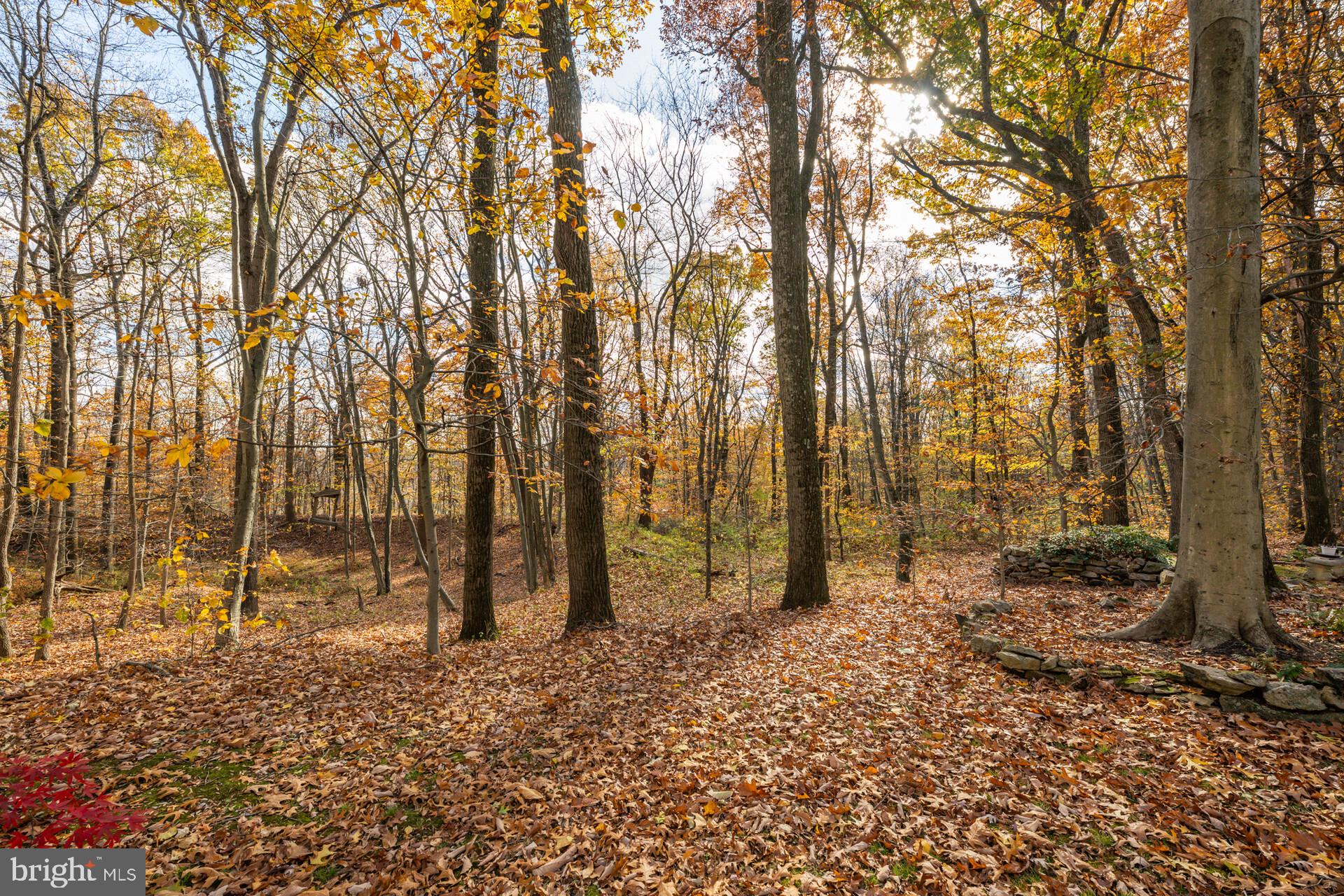 6950 Upper York Road New Hope, PA 18938 - Photo 48 of 60 ...and private.