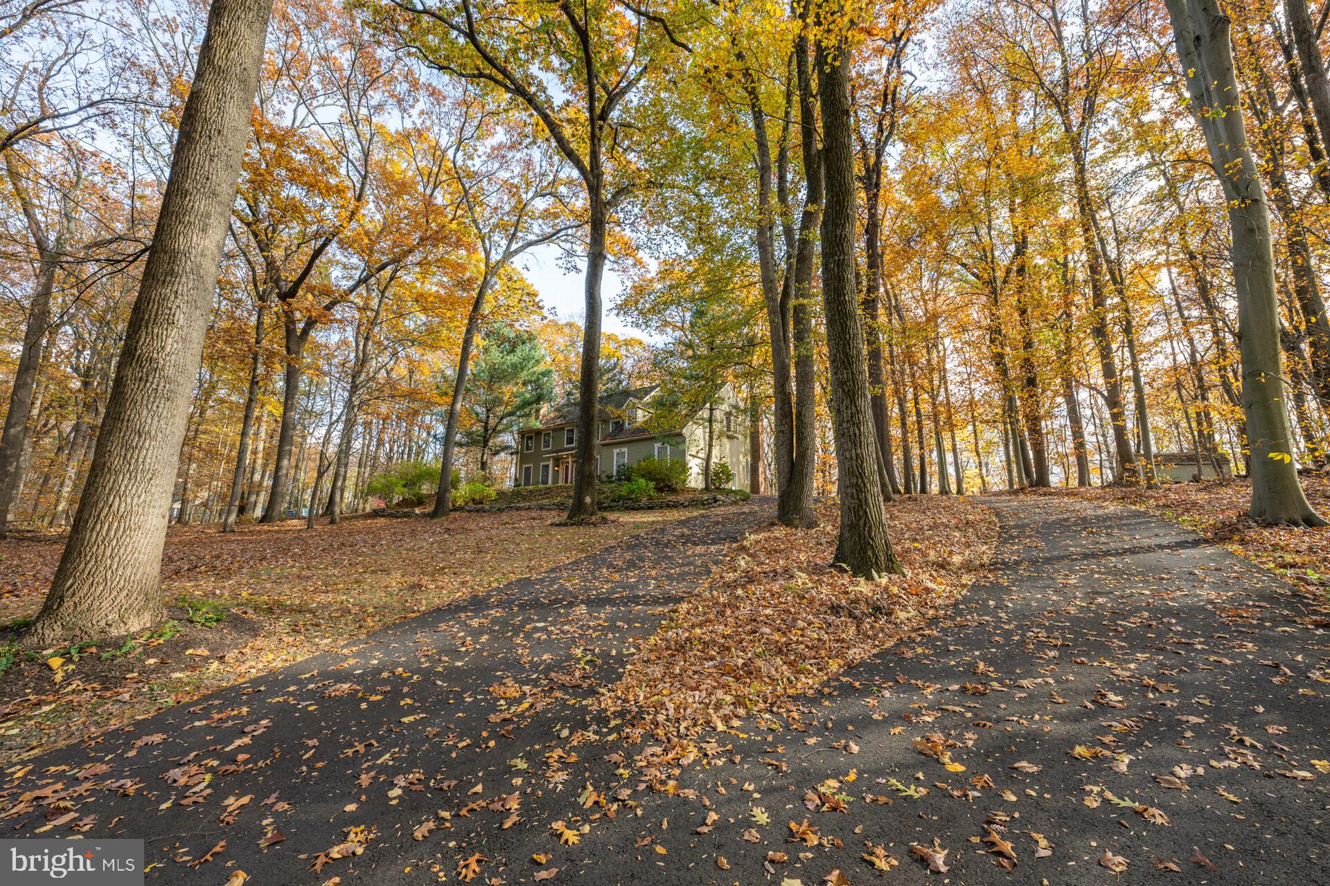 6950 Upper York Road New Hope, PA 18938 - Photo 52 of 60 a backyard of a house with lots of green space