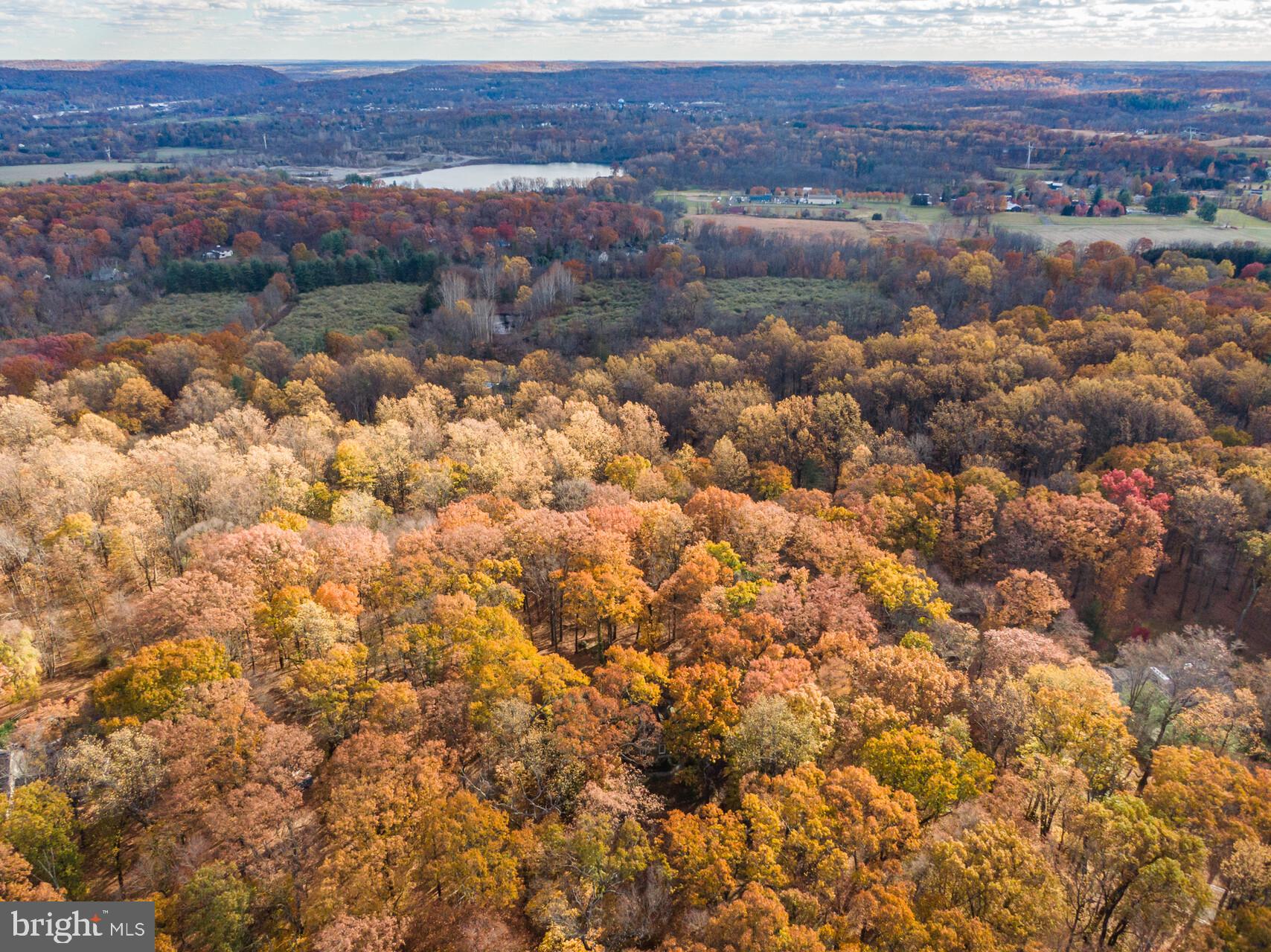 6950 Upper York Road New Hope, PA 18938 - Photo 53 of 60 New Hope in top left corner just minutes away.