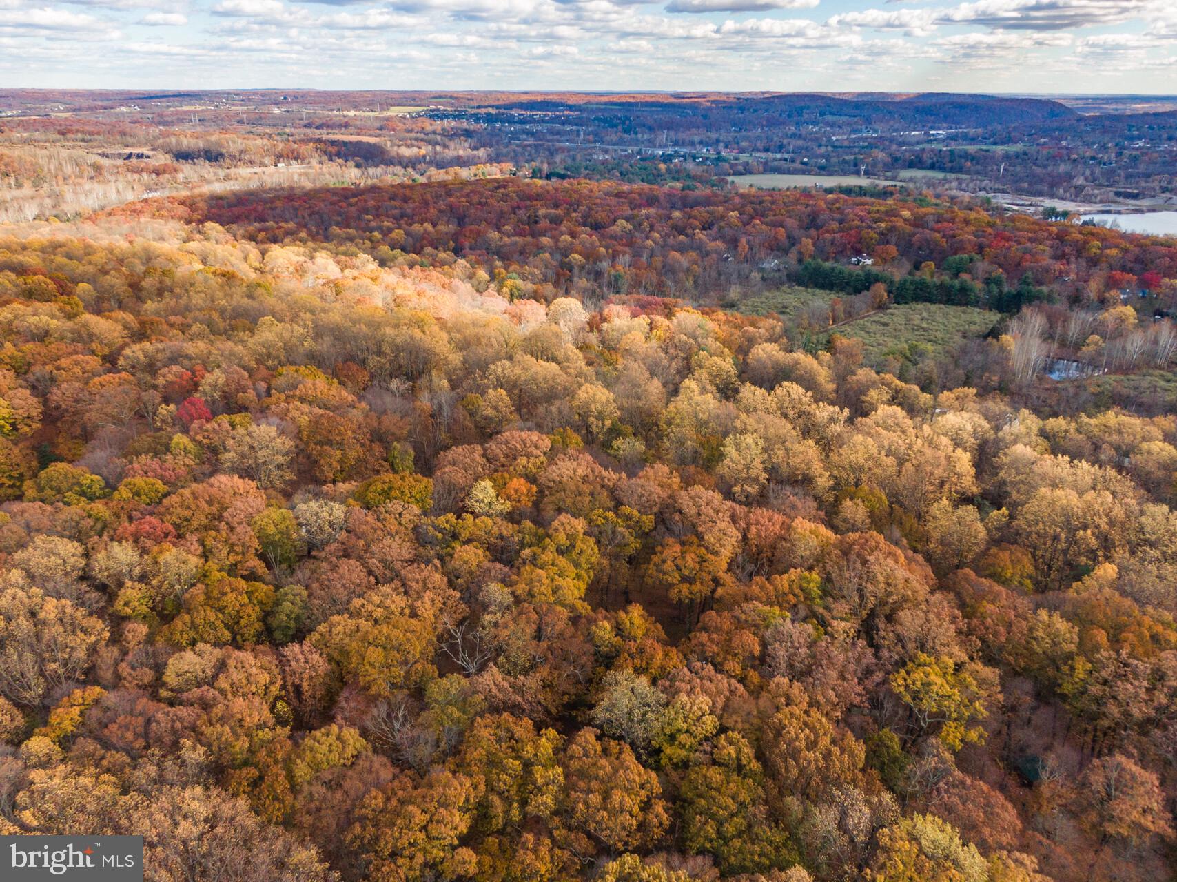 6950 Upper York Road New Hope, PA 18938 - Photo 54 of 60 Surrounded...