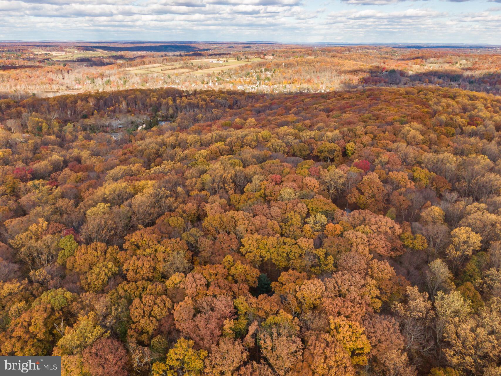 6950 Upper York Road New Hope, PA 18938 - Photo 55 of 60 ...by beauty...