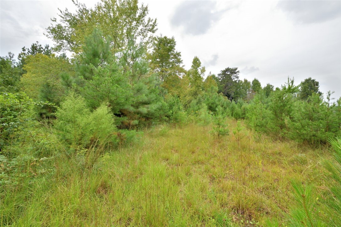 973 White Cut Road Walhalla, SC 29691 - Photo 11 of 18 Gallery Image 11