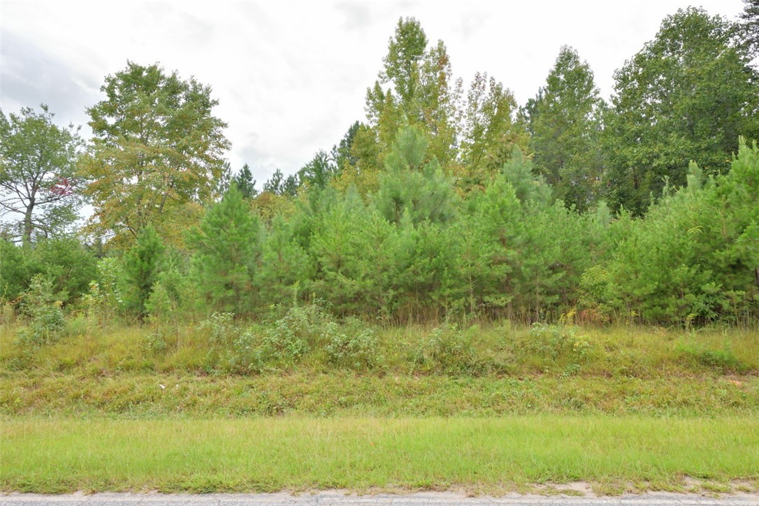 973 White Cut Road Walhalla, SC 29691 - Photo 9 of 18 Gallery Image 9