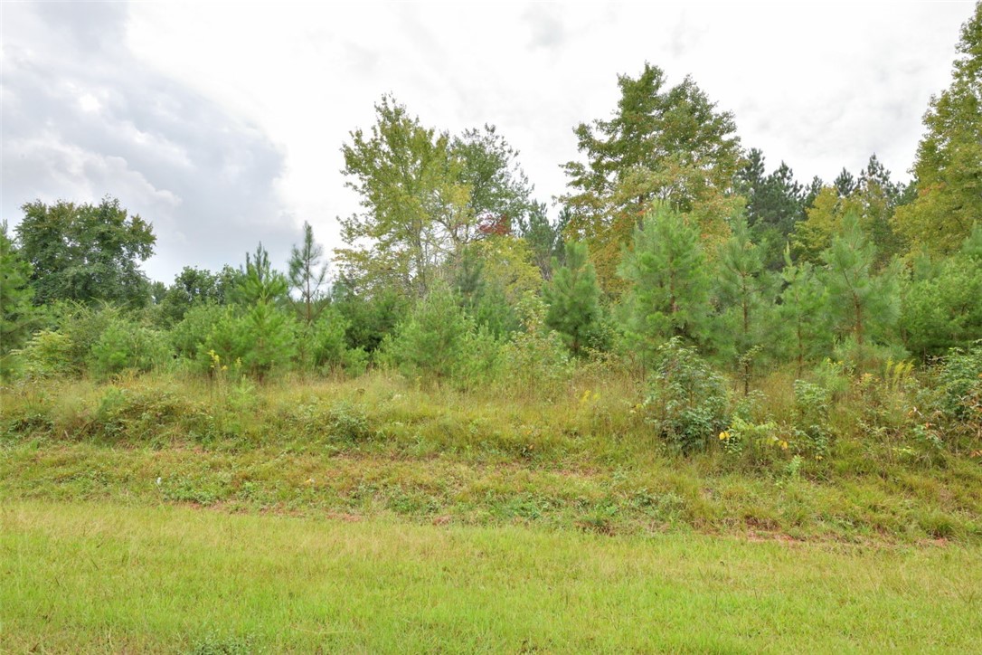 973 White Cut Road Walhalla, SC 29691 - Photo 10 of 18 Gallery Image 10