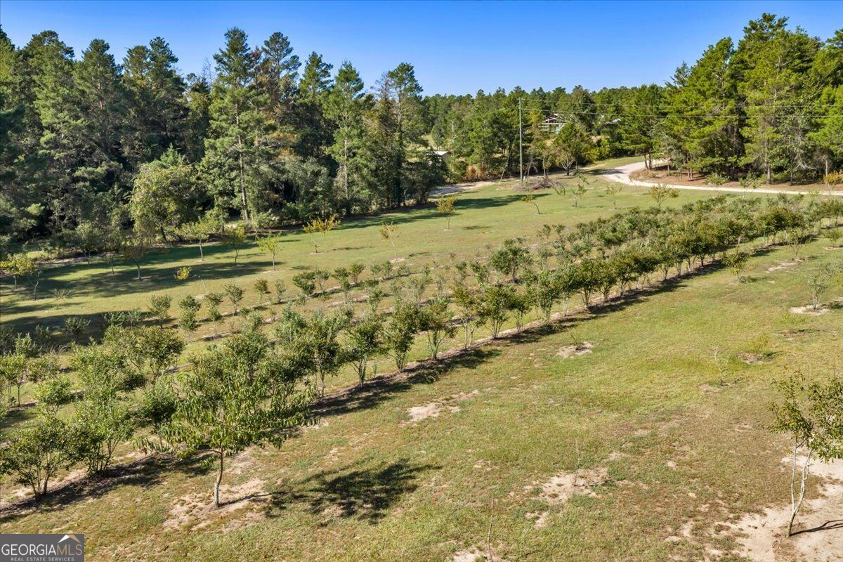 319 Pope Road Roberta, GA 31078 - Photo 78 of 93 Gallery Image 78