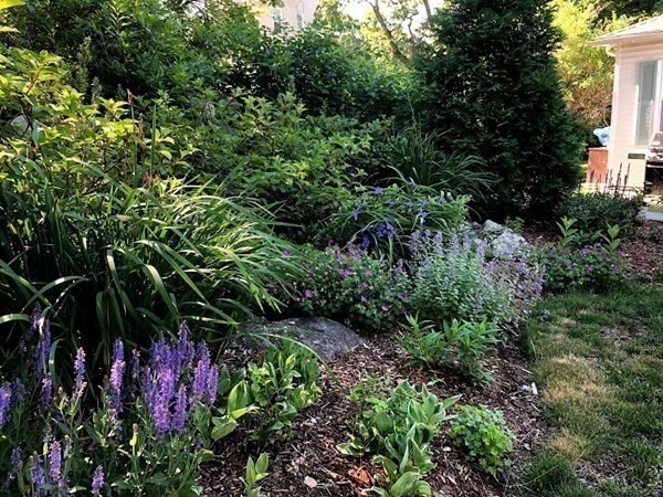 231 Appleton Street Arlington, MA 02476 - Photo 27 of 41 Gallery Image 27